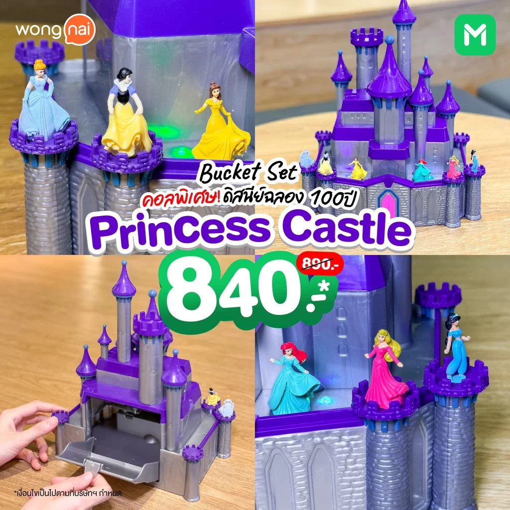 Bucket Set Princess castle